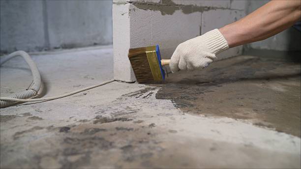 Top rated local Wet Basement Repair specialists in Durand, MI